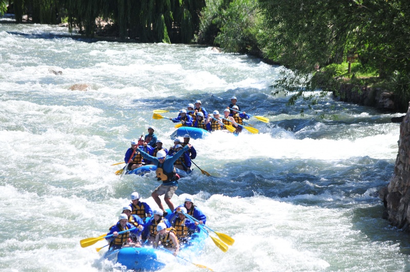 Galería del paquete