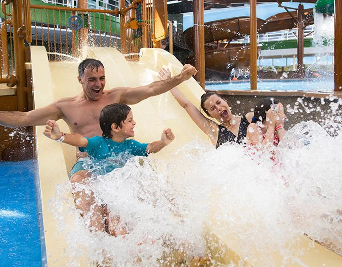 Galería del paquete